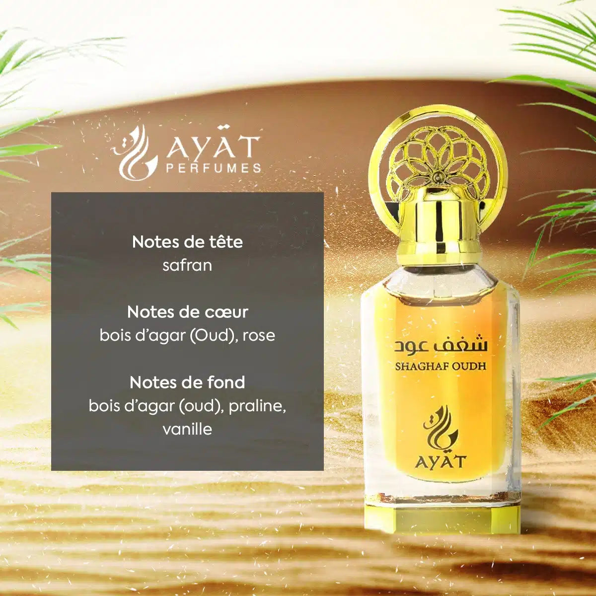 Huile Parfumée Shaghaf Oud – Ayat Perfumes – 12 ml