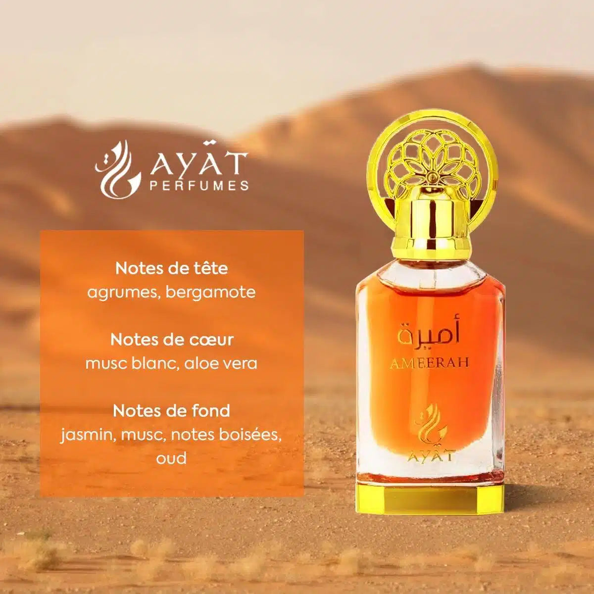 Huile Parfumée Ameerah – Ayat Perfumes – 12 ml