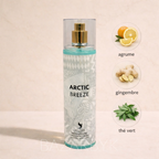 Brume Arctic Breeze - Volaré